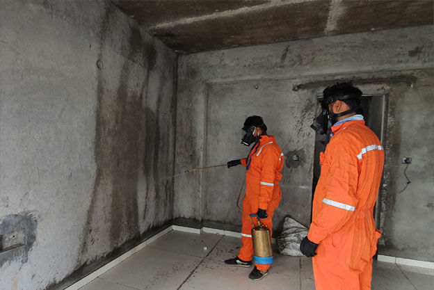 Pest Control Service In Morbi, Gujarat At Aarptan International